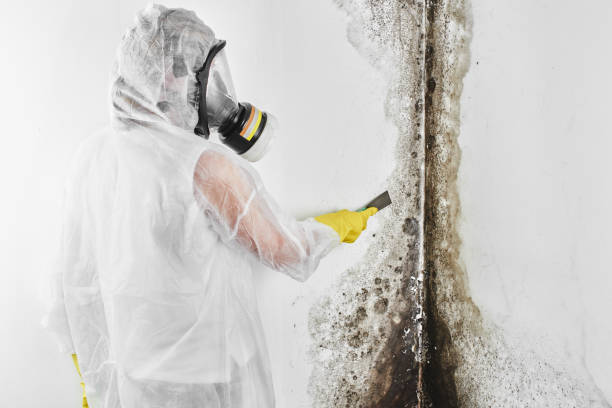 Home Mold Removal in West Kennebunk, ME