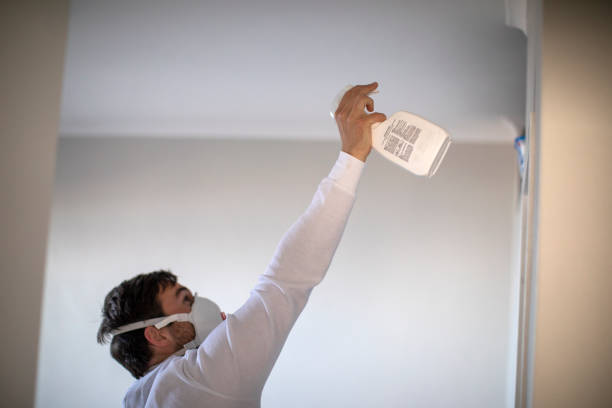 Best Toxic Mold Removal  in West Kennebunk, ME