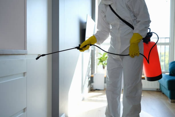 Best Mold Cleaning Services  in West Kennebunk, ME