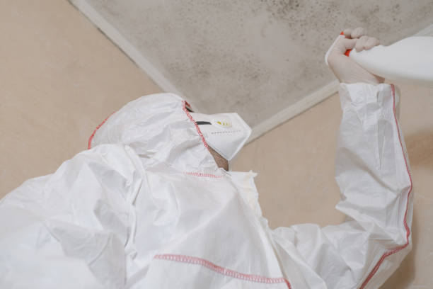 Office Mold Removal Services in West Kennebunk, ME