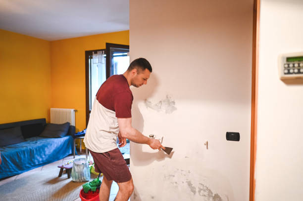 Best Mold Remediation Experts  in West Kennebunk, ME